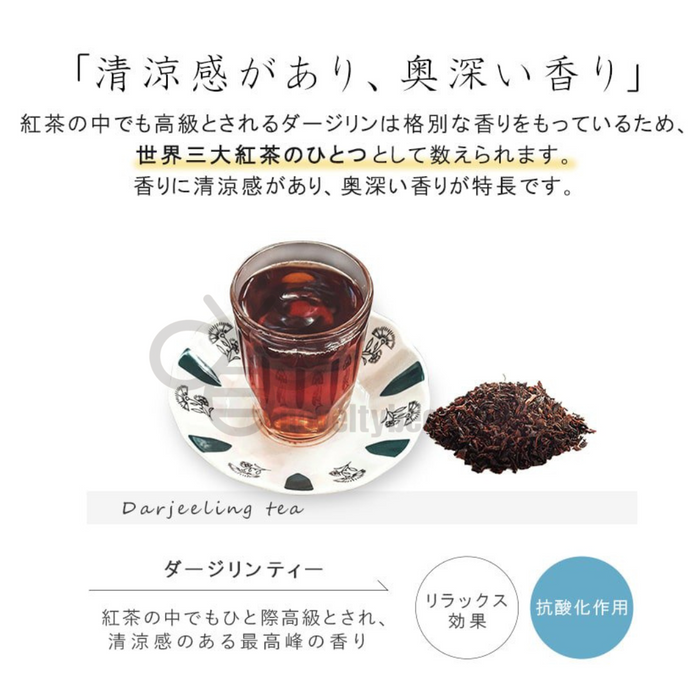 AROMAD'OR - 【日本製造】豐盈泡沫茶香 - 護髮素 (清爽保濕) 500ml【平行進口】**包裝可能有所不同**