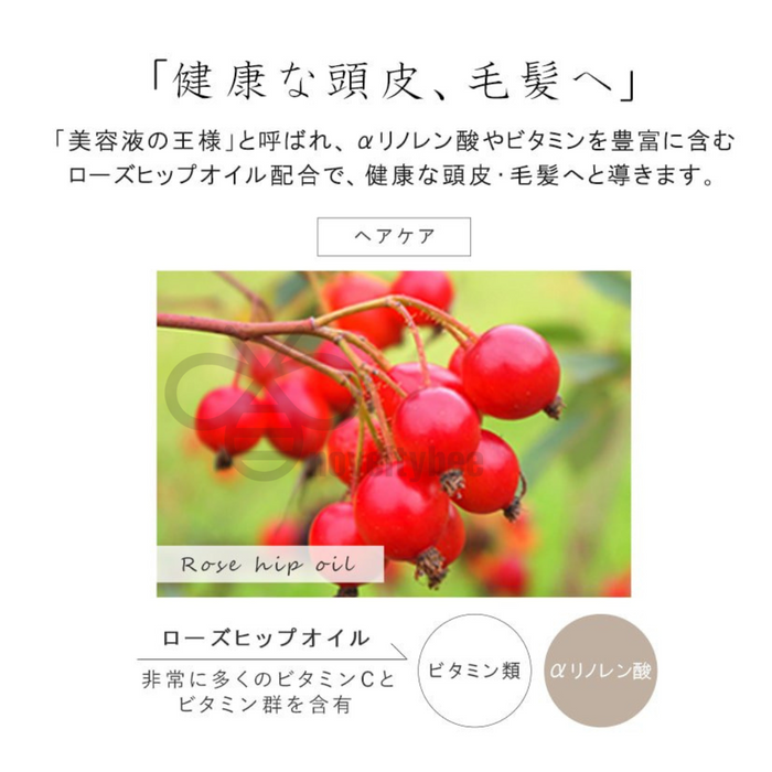 AROMAD'OR - 【日本製造】豐盈泡沫茶香 - 護髮素 (清爽保濕) 500ml【平行進口】**包裝可能有所不同**
