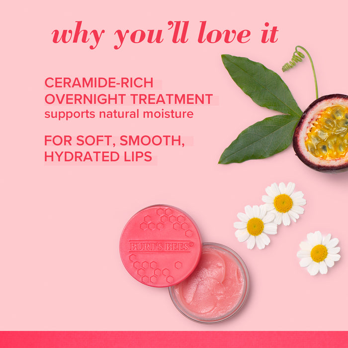 Burt's Bees Passion Fruit and Chamomile Repair Sleeping Lip Mask