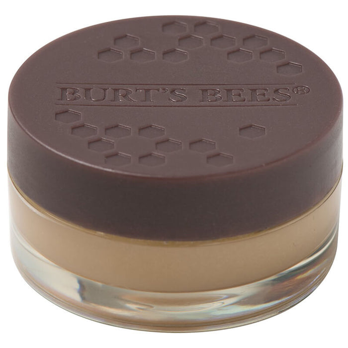 Burt's Bees Natural Repair Sleeping Lip Mask