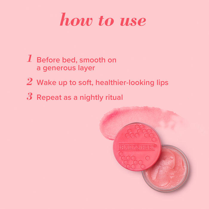 Burt's Bees Passion Fruit and Chamomile Repair Sleeping Lip Mask