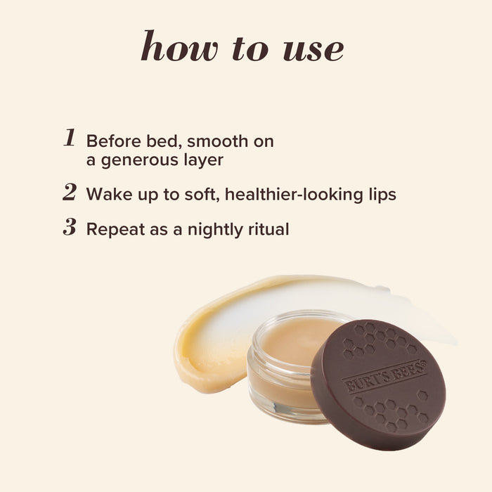 Burt's Bees Natural Repair Sleeping Lip Mask