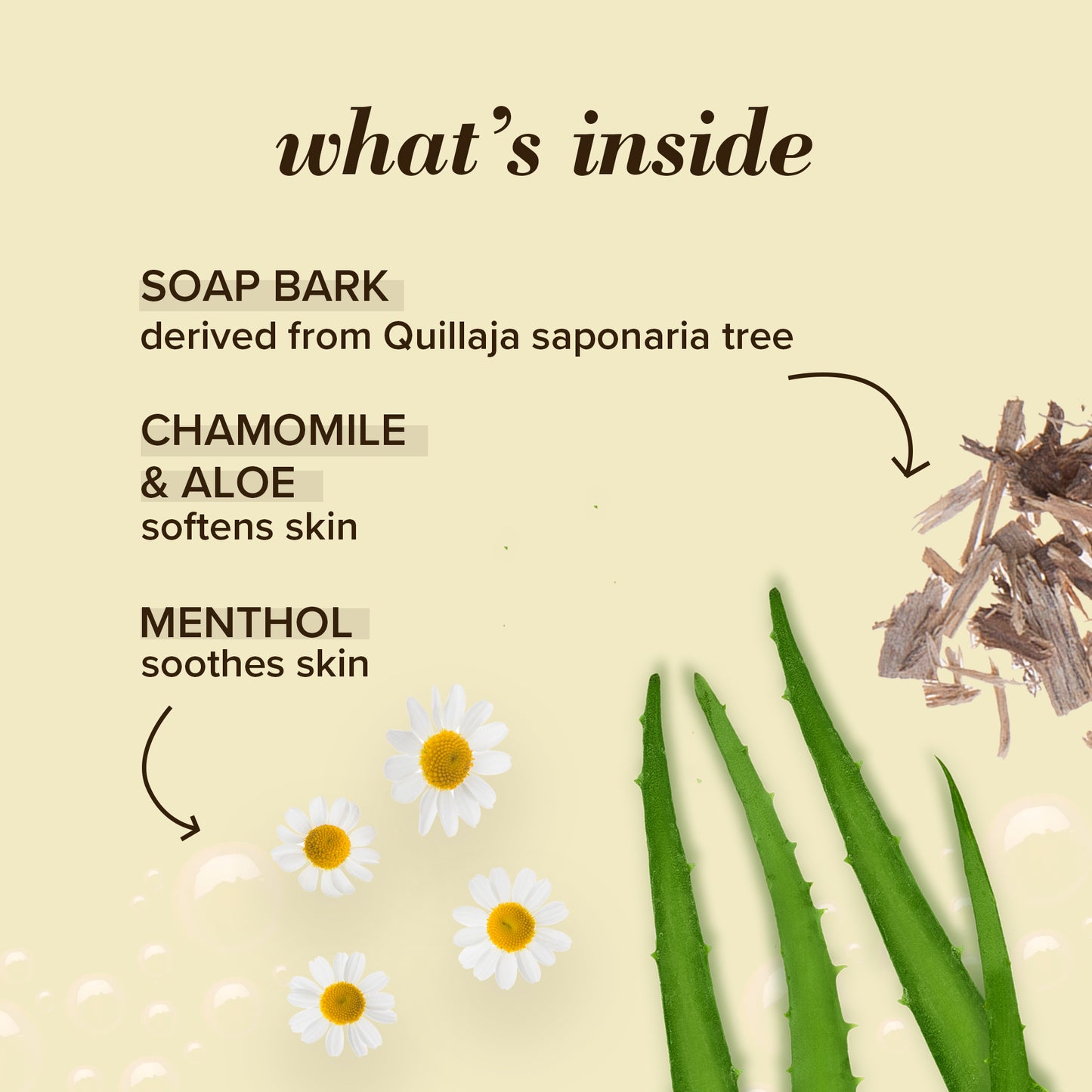 Burt's Bees Classic Chamomile Deep Cleansing Cleanser 170g