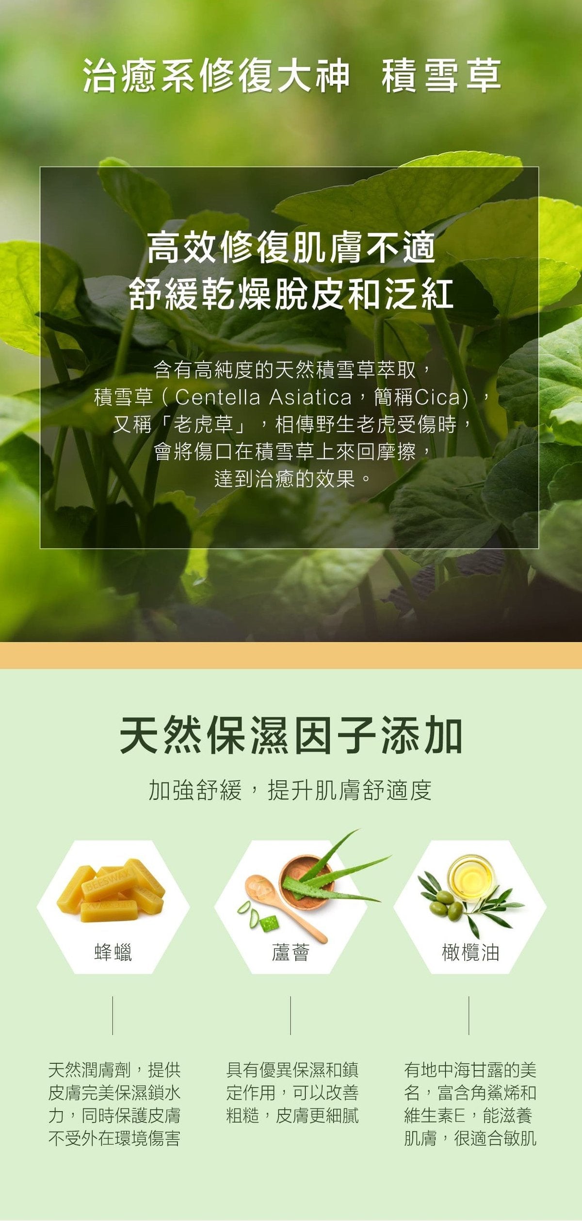 Burt's Bees 积雪草万用软膏笔4.25g