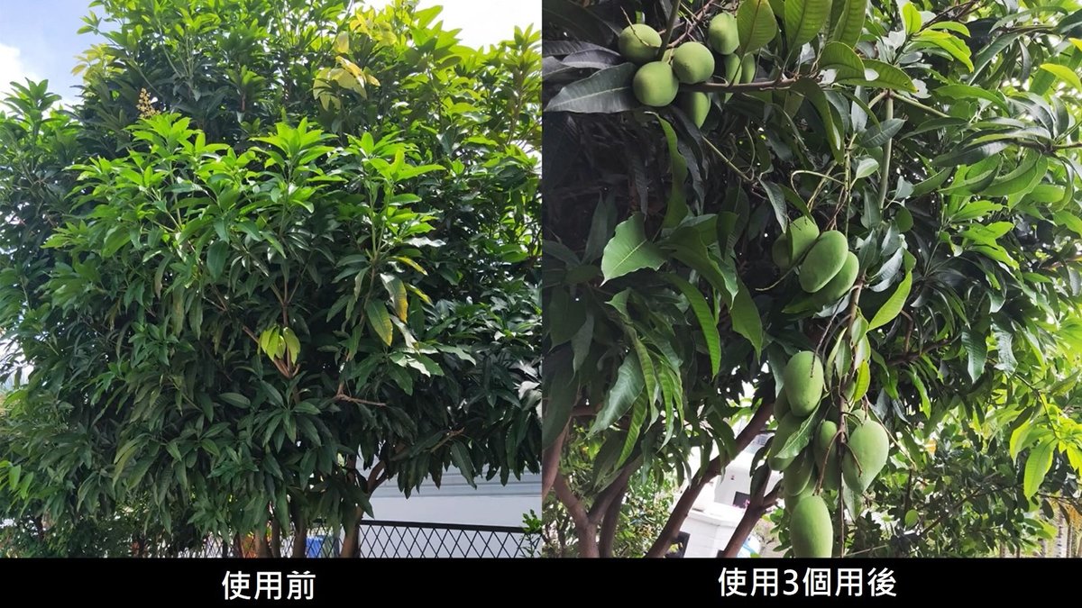 百多麗 - Plantonic 4合1有機植物營養精華 500ml 新加坡製造