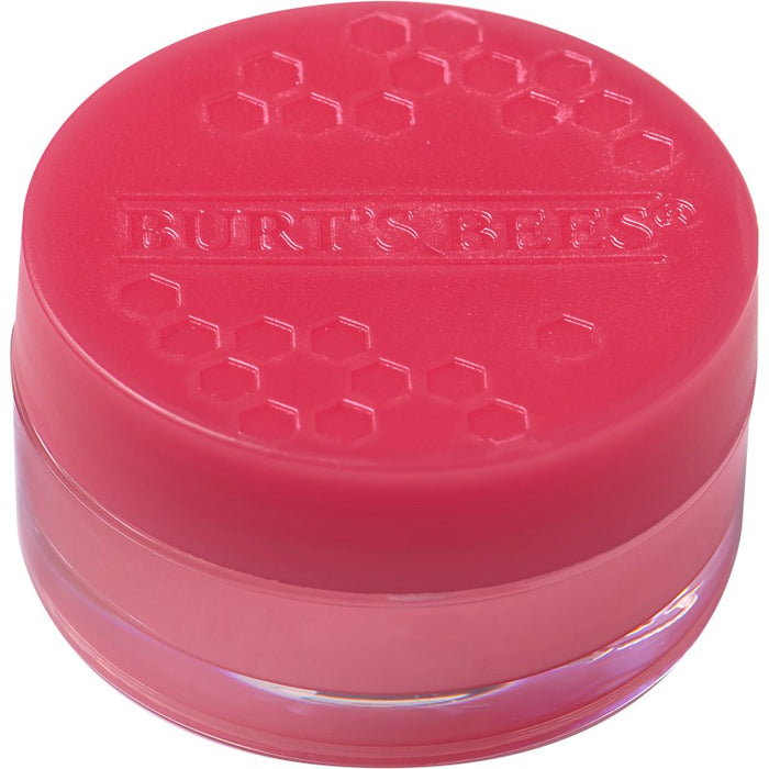 Burt's Bees Passion Fruit and Chamomile Repair Sleeping Lip Mask